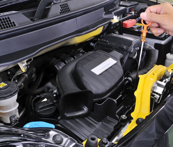 Automotive Gas Tank Bottom