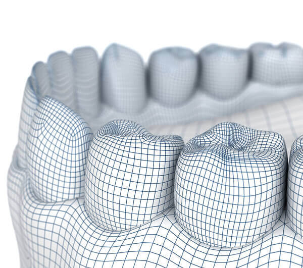 Teeth